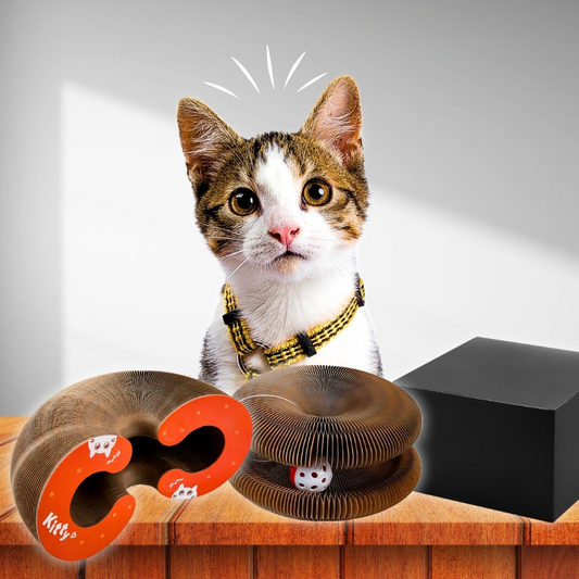 Kitty Kurlz - Scratch Cat Toy (50% OFF)